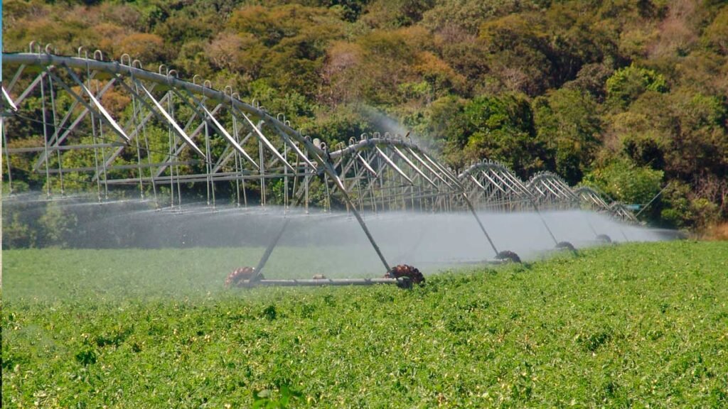 Agronegócio do Oeste da Bahia