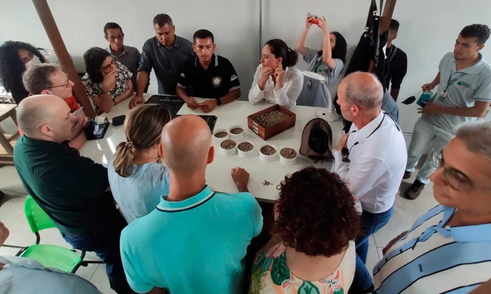 Missão do Banco Mundial avalia impactos do projeto Bahia Produtiva em  cooperativa de Barra do Choça - Fala Barreiras