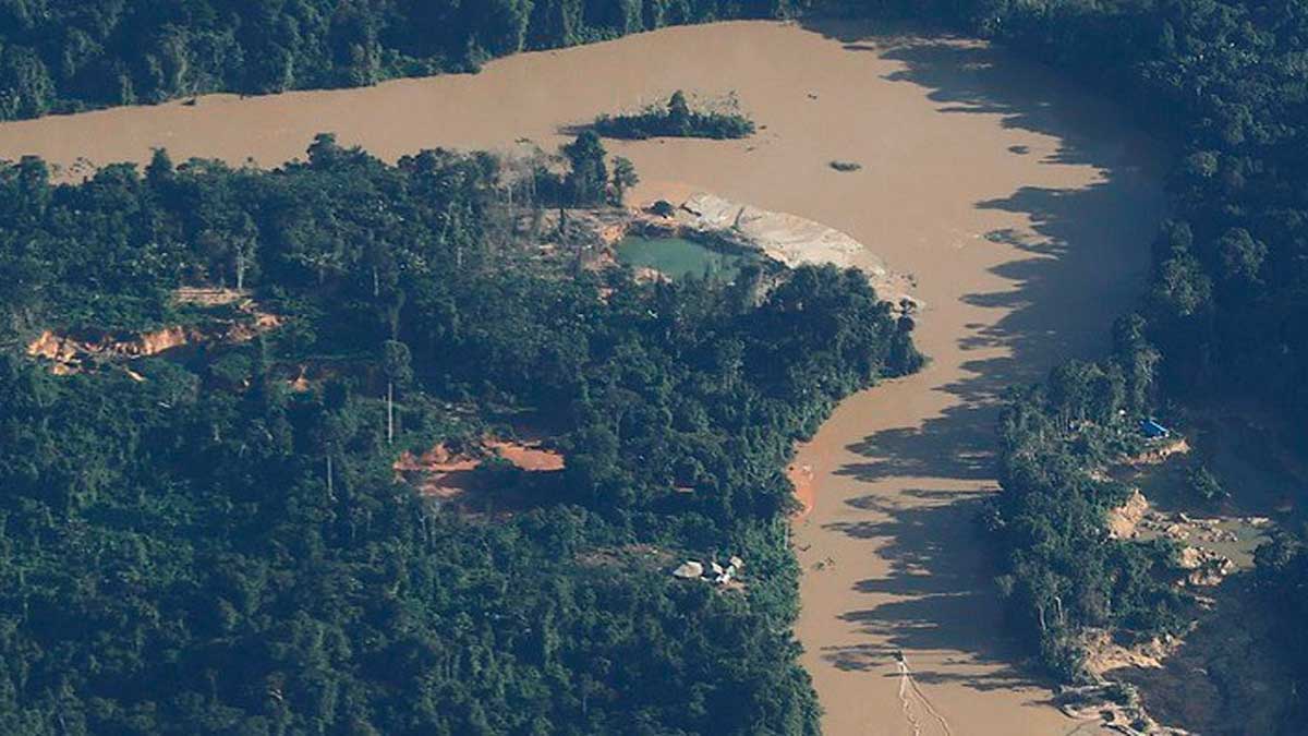 Pesquisadoras do Centro de Tecnologia Mineral analisam exposição ao mercúrio na Terra Indígena Yanomami