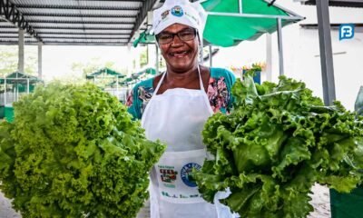 Requalificação e construção de mercados municipais impulsionam agricultura familiar na Bahia