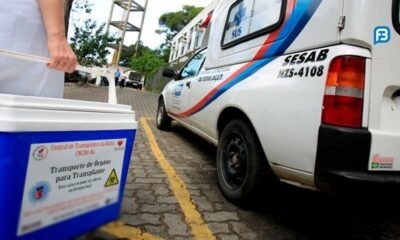 Doações de órgãos no Brasil