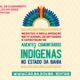Organizações indígenas