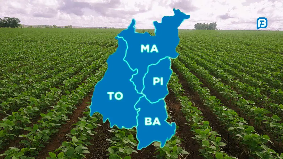 Plano Desenvolvimento Agroindustrial Matopiba