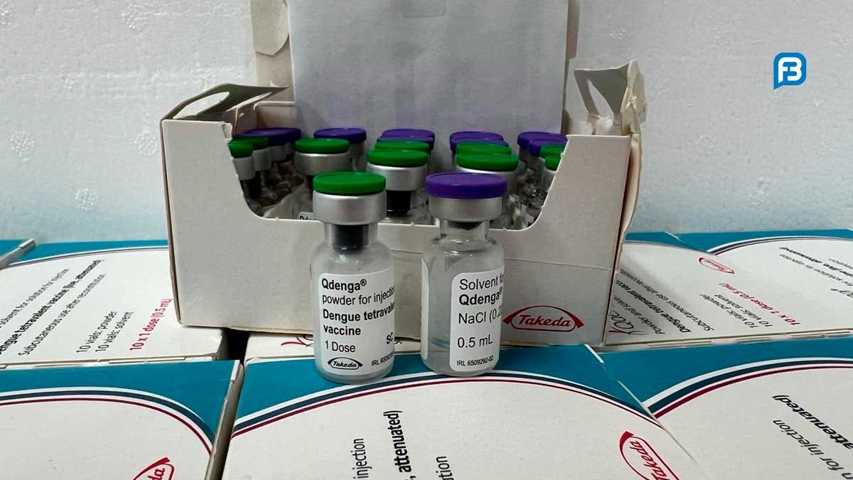 Vacinação contra Dengue