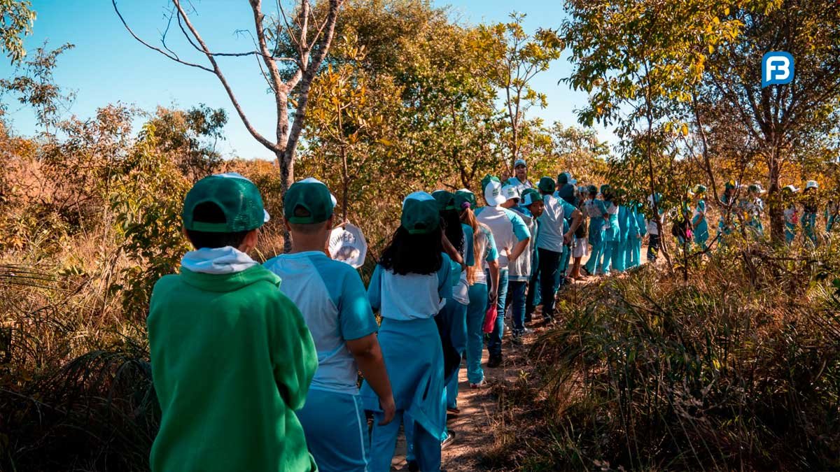 Caminhada na Trilha do Tatu celebra Semana do Meio Ambiente
