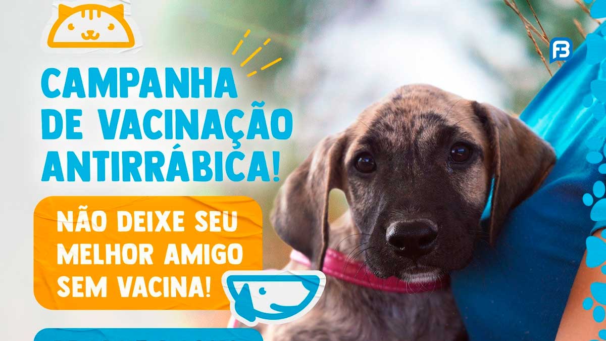 Vacinação antirrábica