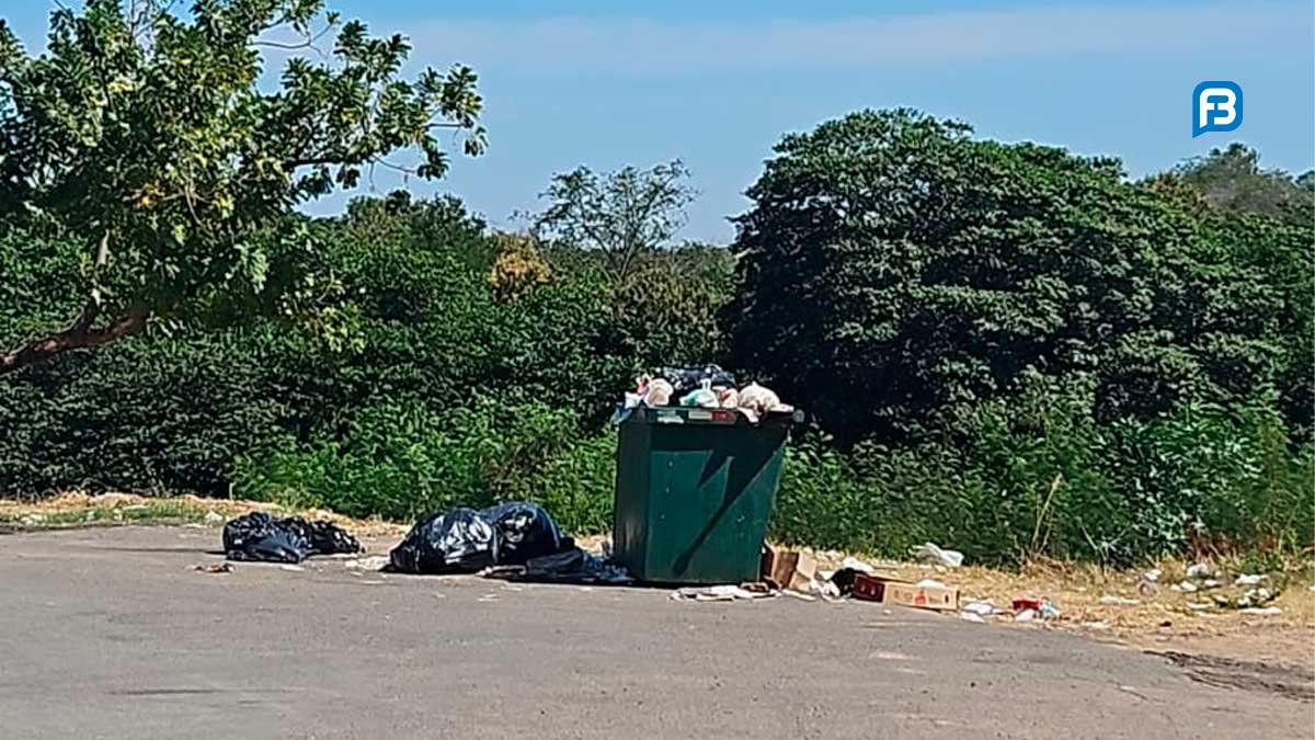 Descarte indevido de lixo em vias públicas prejudica Barreiras