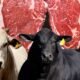 Exportações de carne bovina
