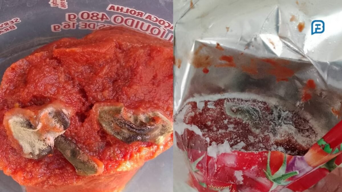 família passa mal após consumir molho de tomate contaminado com bichos