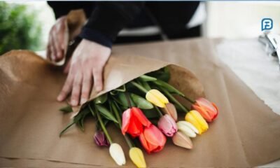 riscos de infecção por fungos em tulipas