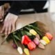 riscos de infecção por fungos em tulipas
