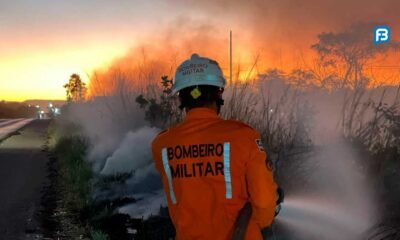 Incêndio em vegetação