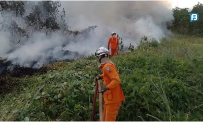 incêndio em vegetação