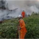 incêndio em vegetação