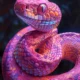 qual o significado de sonhar com cobras coloridas