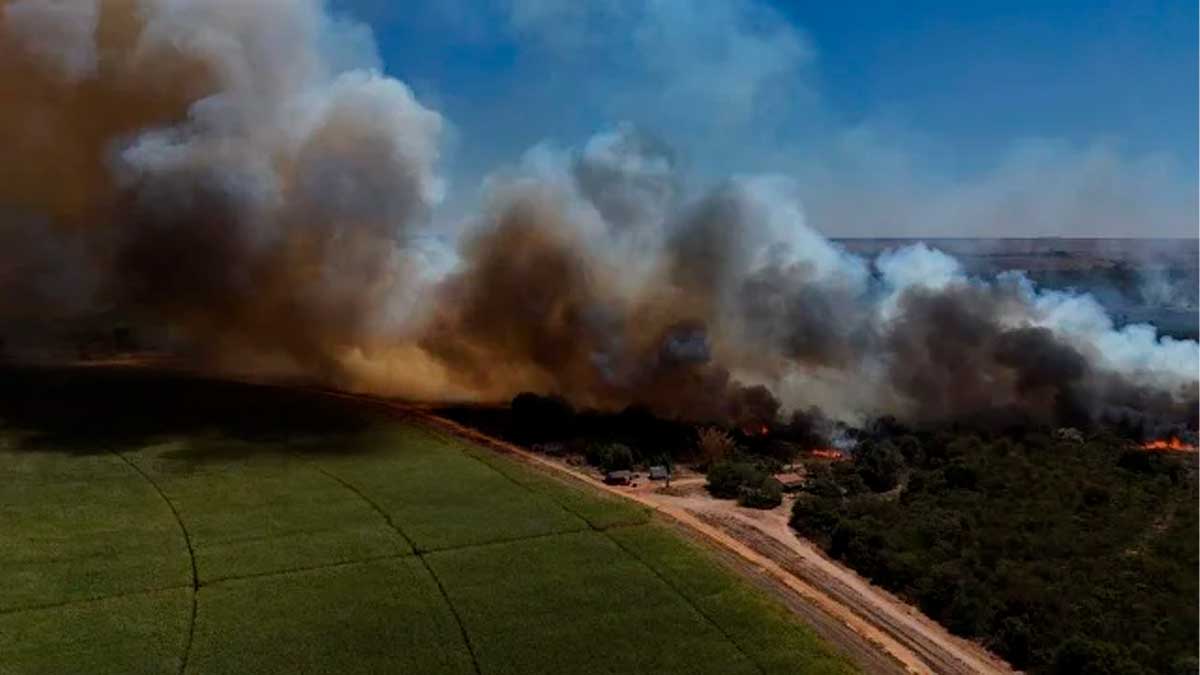 Incêndio atinge fazendas e plantações e interrompe trânsito na BR-020, em LEM
