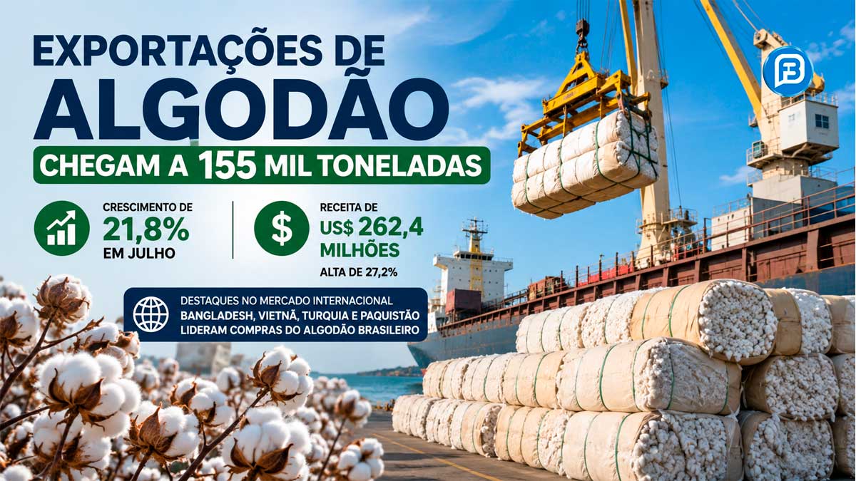 Exportações de algodão chegam a 155 mil toneladas