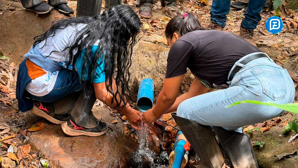 Projeto Nascentes do Oeste recupera 20 nascentes em São Desidério