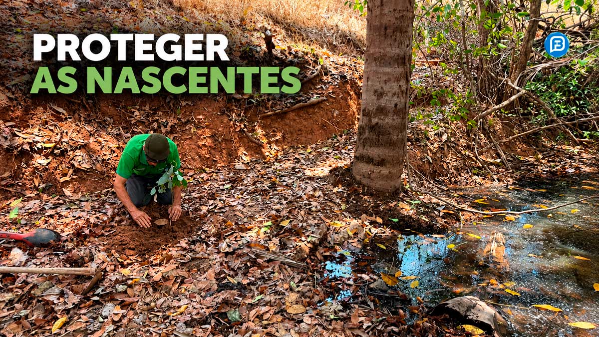 Barreiras recupera nascente em Tábua de Água Vermelha