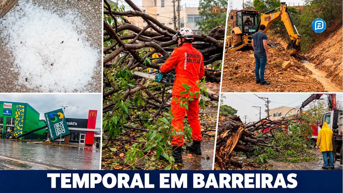 Chuva e ventania atingem Barreiras, derrubam árvores e danificam placas de publicidade