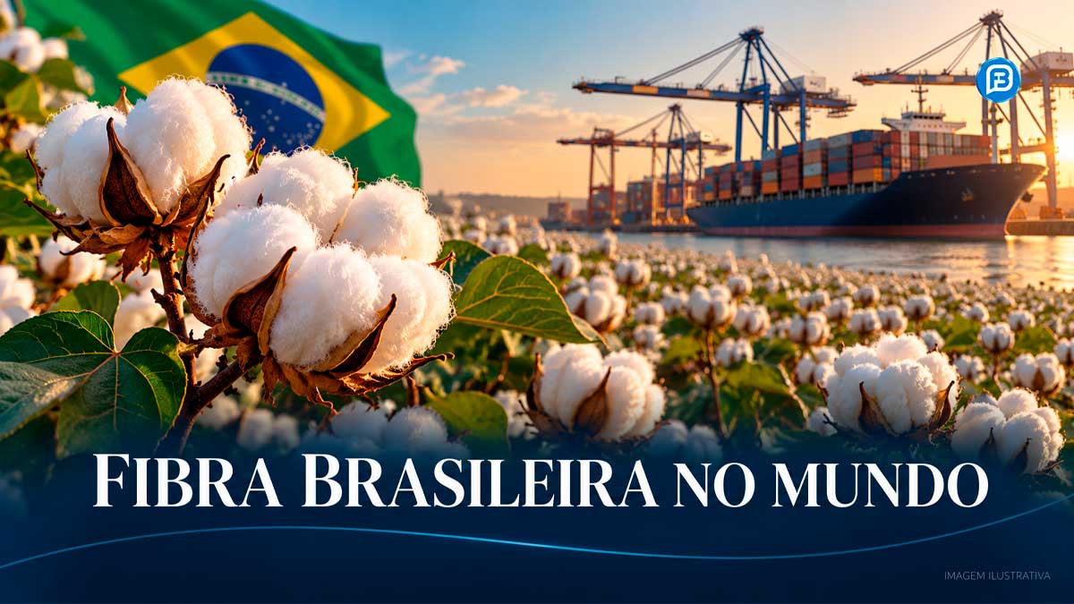 Algodão brasileiro lidera exportações e enfrenta disputa