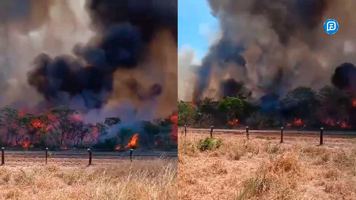 Incêndio de grandes proporções atinge Catolândia e Barreiras