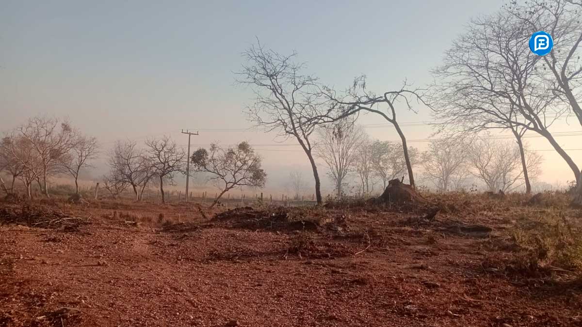 Fumaça encobre Riachão das Neves e preocupa moradores