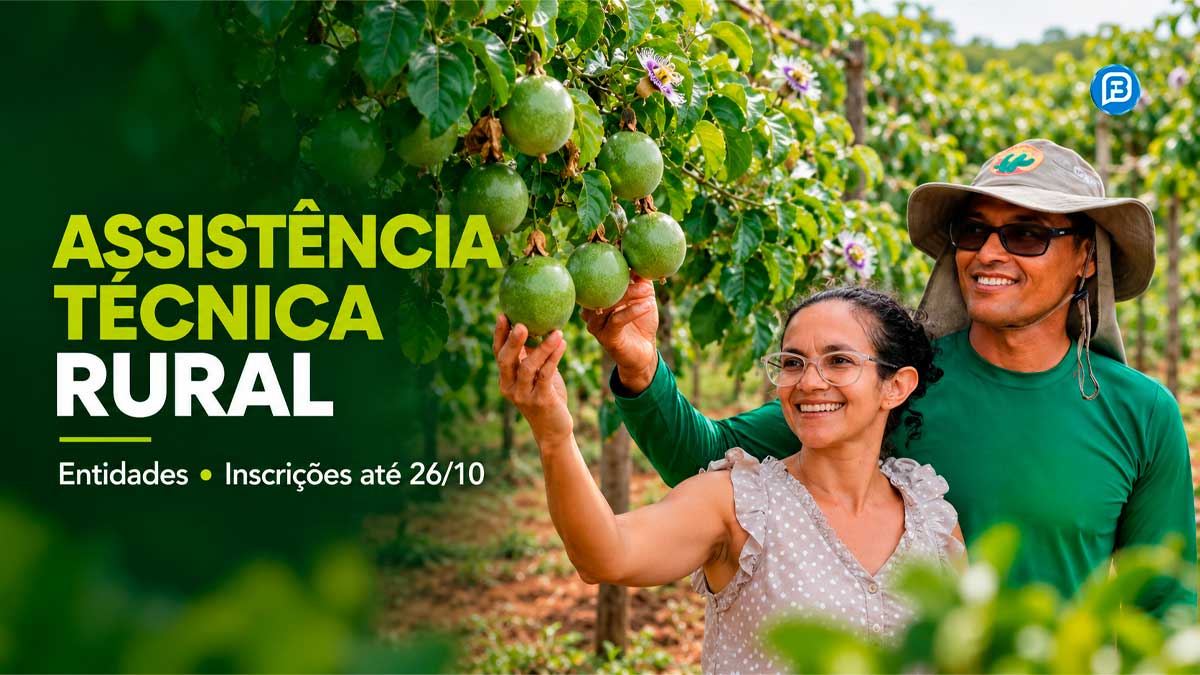 Sertão Vivo Bahia prorroga seleção até 26 de outubro